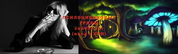 PSILOCYBIN Кодинск