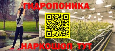 гидропоника Бийск