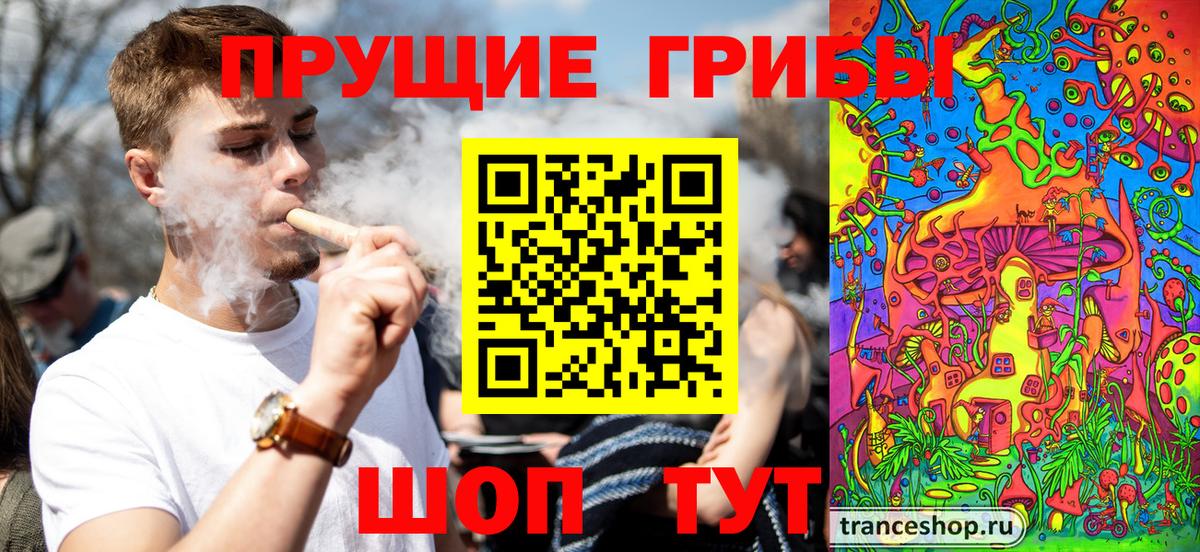 Псилоцибиновые грибы Psilocybe Назрань