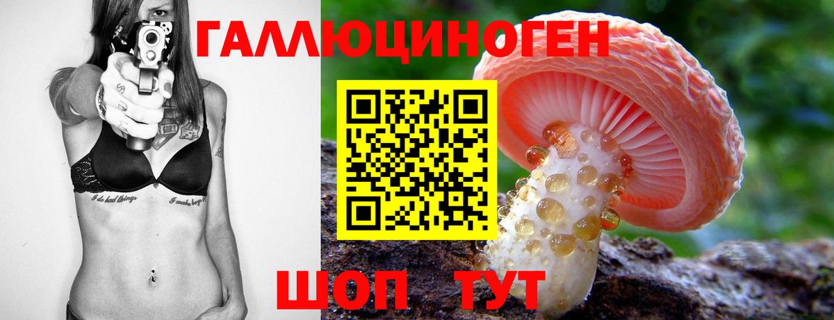 Галлюциногенные грибы Psilocybine cubensis Назрань